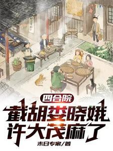 四合院许小茂