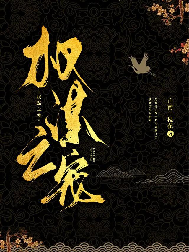 权谋免费全文
