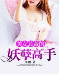 美女总裁的妖孽高手叶尘