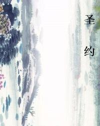 圣约克男装是名牌吗