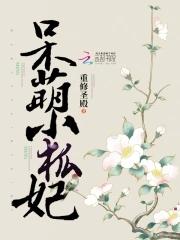 呆萌小娇妃小本月