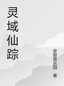灵域详细介绍