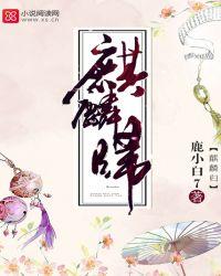 麒麟归来记免费全集完整版