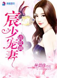 宸少的追妻史