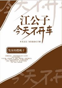 江公子今天不开车攻简介