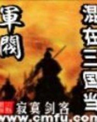 混在三国当军阀讲的什么