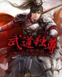 武道独尊苏兰嫁给谁了
