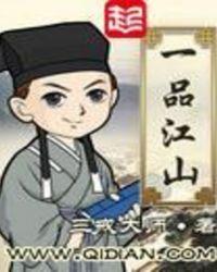 一品江山讲的什么