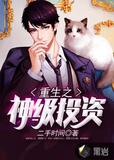重生之神级投资笔趣阁一颗小石头