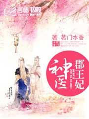神医郡王妃攻略