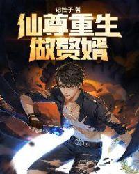 重生仙尊敖婿