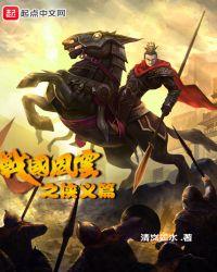战国风云动画片