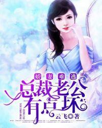 娇宠妻免费阅读
