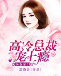 误惹高冷总裁免费版