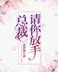总裁请你放手全文免费阅读夏觅晴