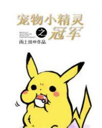宠物小精灵之冠军百科