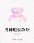男神追妻指南6