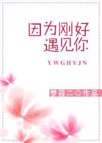 因为刚好遇见你在线观看