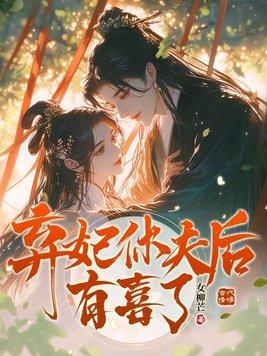 弃妃休夫有声