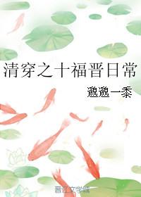 清穿之十福晋作者查查