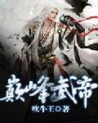 巅峰武帝txt精校版