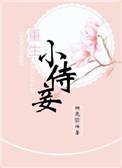 重生侍妾前世番外