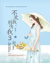 不爱我别伤我3