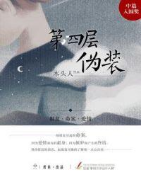 第四层伪装电视剧