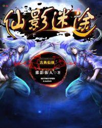 仙影迷途境界划分详细详解