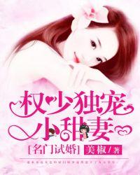 权少独宠小甜妻言淼