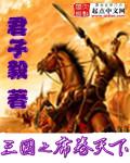新三国