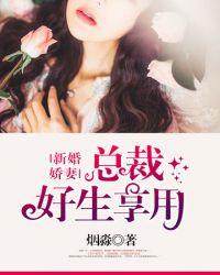 总裁新妻全文免费阅读