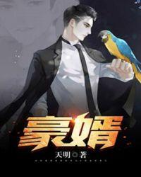 豪婿百度百科