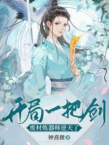 开局一把剑技能升级