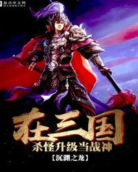 三国杀敌升级系统