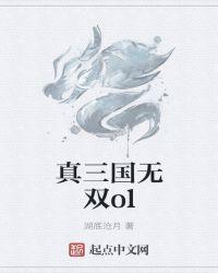 真三国无双ol停服原因