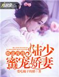 漫漫婚途陆少求放过陆清城