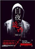 白夜追凶多少集