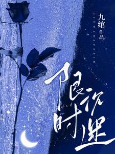 限时沉迷by时京京TXT