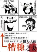 丞相大人的糟糠之妻百度
