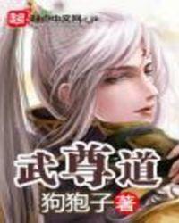 武尊道 手打无错字版