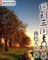 回到三国christy