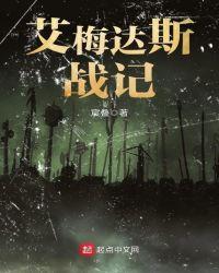 艾梅斯结局