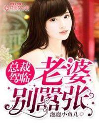 老婆别离开全文免费阅读