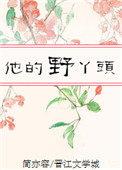野丫头剧情简介