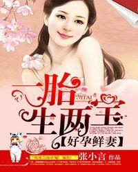 好孕鲜妻一胎生两宝林安安沈少卿