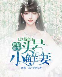 总裁的头号嫩妻免费阅读全文