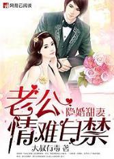 老公情深不换免费阅读