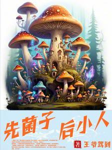 云南菌子小人跳舞