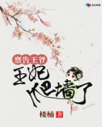 王妃她又爬墙了